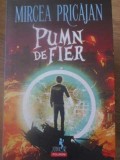 PUMN DE FIER-MIRCEA PRICAJAN-276148
