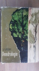 Dendrologie-E.G. Neculescu, Al. Savulescu foto