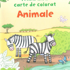 Animale - Prima mea carte de colorat |