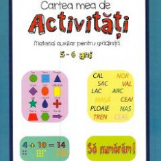 Cartea mea de activitati 5-6 ani - Mara Neacsu