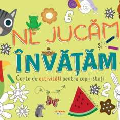 Ne jucam si invatam. Carte de activitati pentru copii isteti