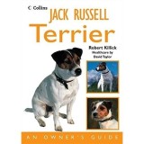 Jack Russell Terrier