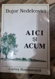 AICI SI ACUM - BUJOR NEDELCOVICI
