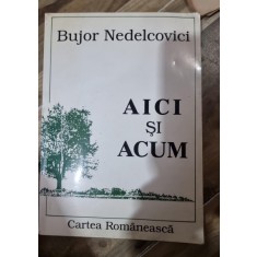 AICI SI ACUM - BUJOR NEDELCOVICI