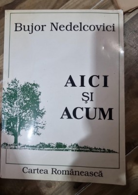 AICI SI ACUM - BUJOR NEDELCOVICI foto