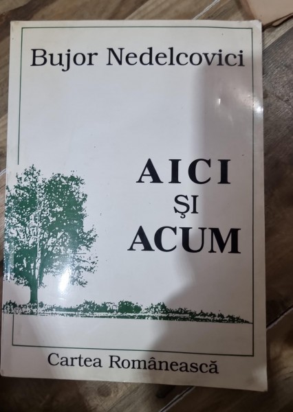 AICI SI ACUM - BUJOR NEDELCOVICI