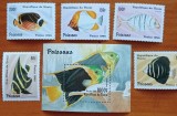 BENIN-FAUNA-PESTI EXO.--SET+ colita-NESTAMP--Scan