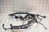 Cablaj ușă st&acirc;nga față TESLA MODEL Y 2020 OEM: 1489044-00-C 13587334