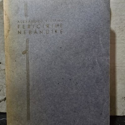 Fericirile nebanuite - Alexandru Vitianu foto