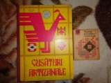 Cusaturi artizanale - Doina Silvia Marian + Puncte si cusaturi romanesti - Scinteianu Mihaela ( pretul este pentru ambele carti )