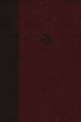 Complete Word Study Old Testament foto
