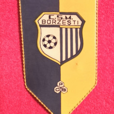 Fanion fotbal - CSM BORZESTI