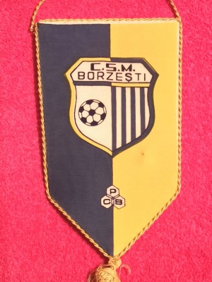 Fanion fotbal - CSM BORZESTI foto