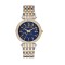 Ceas Michael Kors Darci MK3401 cu brățară din metal auriu