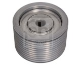 FEBI BILSTEIN 101427 Rola ghidare/conducere, curea transmisie