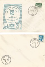 Romania, ALFAR, 20 de ani de producere a ciupercilor, plicuri, Arad, 1991 foto