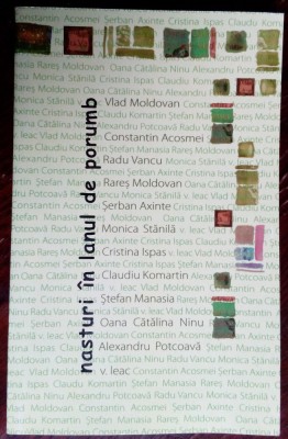 NASTURI IN LANUL DE PORUMB2008:V&amp;amp;RMoldovan/Acosmei/Vancu/Leac/Komartin/Manasia+5 foto