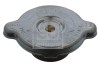FEBI BILSTEIN 05420 buson,vas expansiune