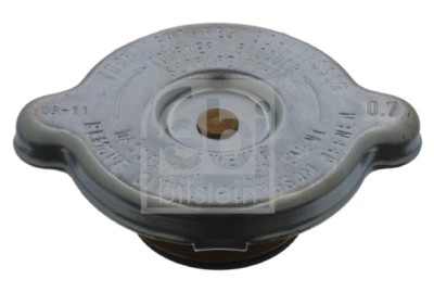 FEBI BILSTEIN 05420 buson,vas expansiune foto