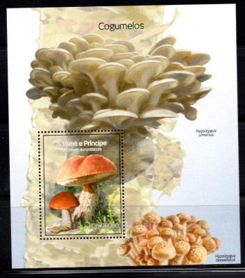 SAO TOME PRINCIPE 2014, Ciuperci, serie neuzata, MNH foto