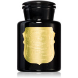 Paddywax Apothecary Noir Palo Santo lum&acirc;nare parfumată 226 g