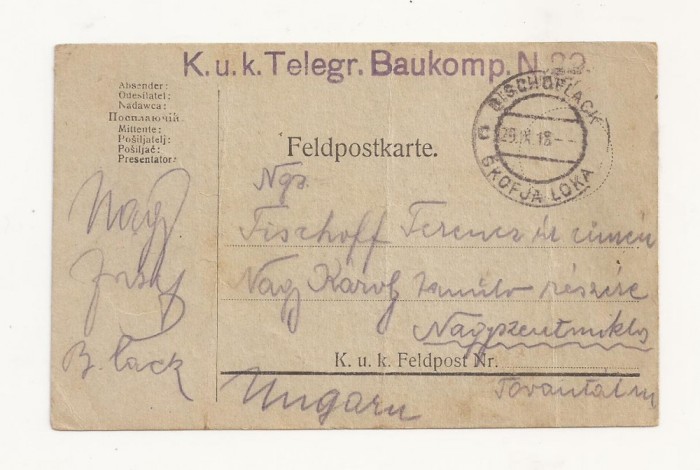 D1 Carte Postala Militara k.u.k. Imperiul Austro-Ungar , 1918 Reg. Torontal