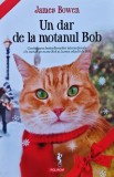 Un dar de la motanul Bob - 2017 - James Bowen (@S70)