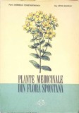 PLANTE MEDICINALE DIN FLORA SPONTANA-C. CONSTANTINESCU, A. AGOPIAN-274077