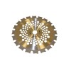 Disc Motocoasa Nakamura 255 x 25.4 mm, 40 Dinti Dubli, Profesional, Defrișare