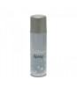 Spray decorativ argintiu 100ml, Oem