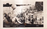Timisoara, Viata la strand Photo Arta (necirculata)