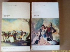 Meridiane: Goya (2 volume) foto