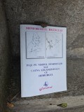 Memorialul Br&acirc;ncuși. Pasi pe nisipul eternitatii sau cauza legamantului cu demiurgul - Ilarie Hinoveanu