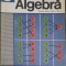 ALGEBRA, MANUAL PENTRU CLASA A VIII-A-IVANCA OLIVOTTO, CONSTANTIN IONESCU-BUJOR, ION GIURGIU-260740