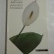 POVESTIRI ORIENTALE - MARGUERITE YOURCENAR
