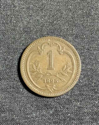 Moneda 1 heller 1895 Austria foto