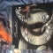 Crawler - Crawler vinyl