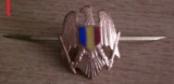 QW14 - Emblema militara / cuc - uscat - anii 1990 - piesa de colectie