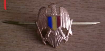 QW14 - Emblema militara / cuc - uscat - anii 1990 - piesa de colectie foto