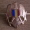 QW14 - Emblema militara / cuc - uscat - anii 1990 - piesa de colectie