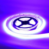 Banda LED COB Dark Violet 24V, 480 LED/m, 11W/m, IP20, Rola 5m, Violet Inchis, Iluminare Decorativa Interior