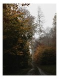Tablou Canvas, "Cărare de toamnă prin pădurea tăcută", Toamnă, Pădure, Potecă, Frunze, Culoare, &Icirc;nnorat, Natură, Tranquilitate, Izolare, Romanticism,