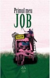 Primul meu job - Florin Dumitrescu