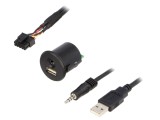 Adaptor USB/AUX Fiat Jack 3,5mm 4pin, USB A