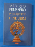 Introducere &icirc;n hinduism - Alberto Pelissero