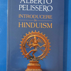 Introducere în hinduism - Alberto Pelissero