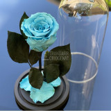 Cumpara ieftin Trandafir Criogenat bleu &Oslash;6,5cm in cupola de sticla 10x20cm