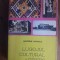 Lugojul cultural artistic - Gheorghe Luchescu / R3P3F