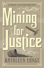 Mining for Justice foto