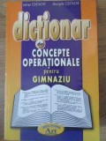 DICTIONAR DE CONCEPTE OPERATIONALE PENTRU GIMNAZIU-ADRIAN COSTACHE, GEORGETA COSTACHE-229100